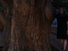 img_11