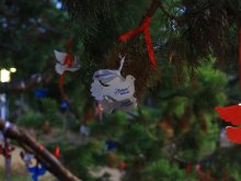 img_13